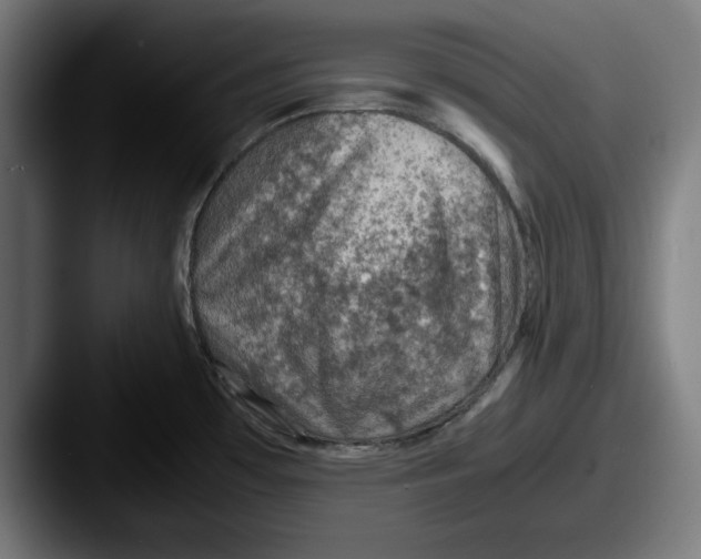 X0000087521481200705181003