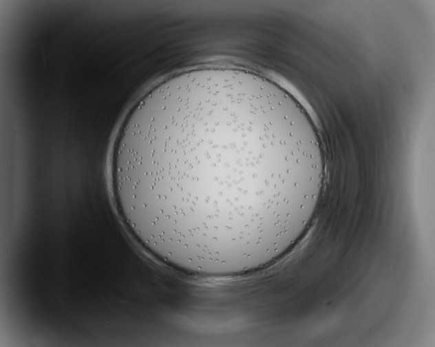 X0000087521482200705181003