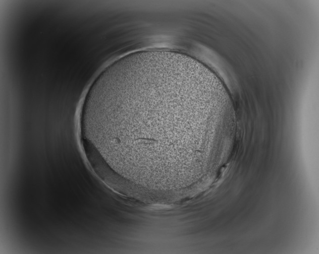 X0000087521483200705181003