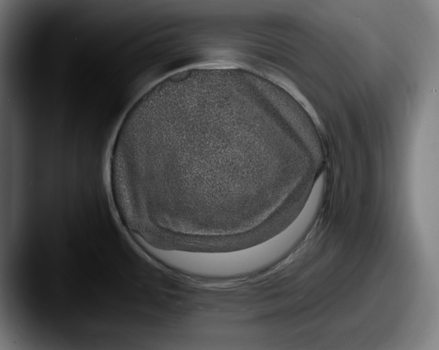 X0000087521484200705181003