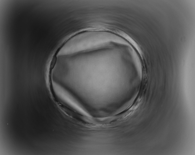 X0000087521485200705181003