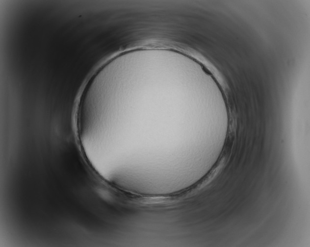 X0000087521486200705181003