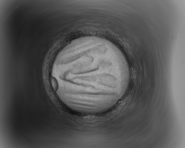 X0000087521489200705181003