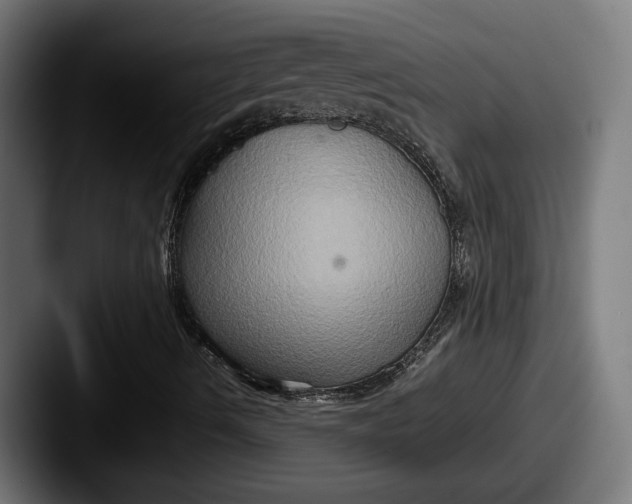 X0000087521490200705181003