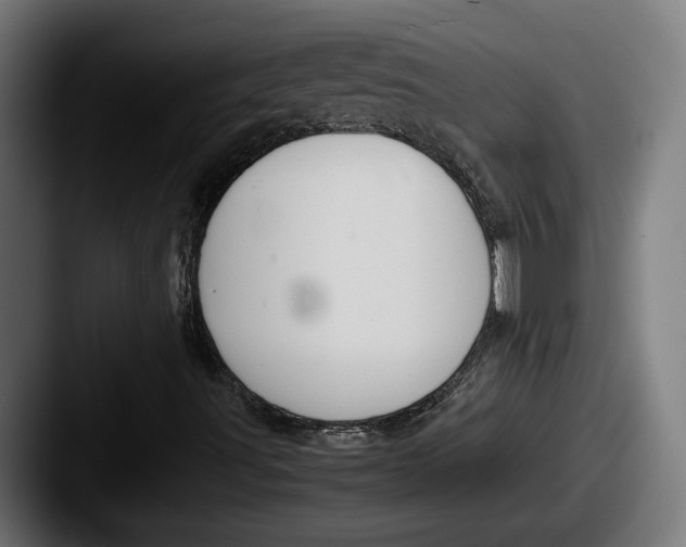 X0000087521491200705181003