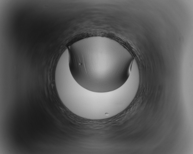 X0000087521492200705181003