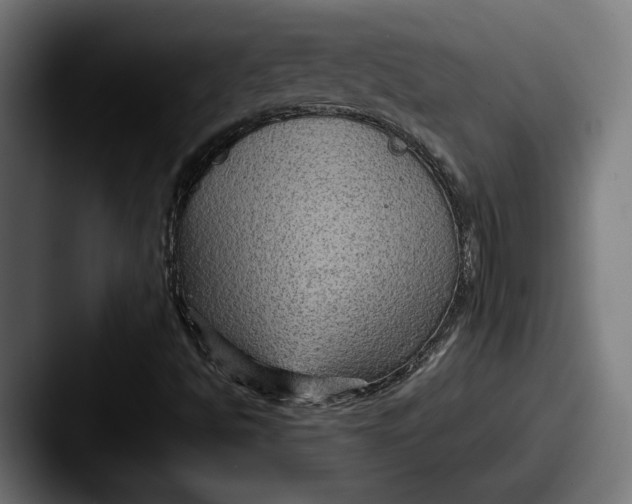 X0000087521494200705181003