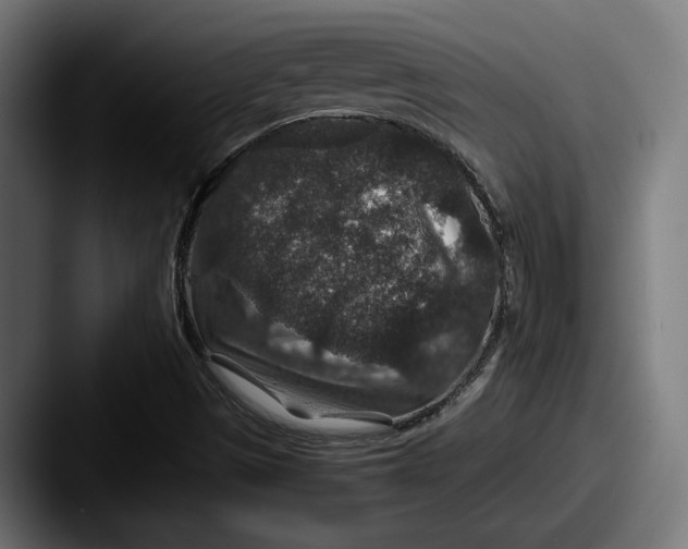 X0000087521497200705181003