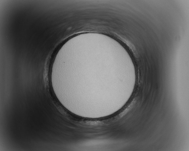 X0000087521498200705181003