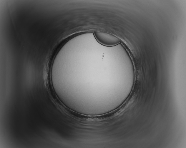 X0000087521499200705181003