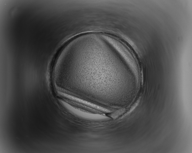 X0000087521501200705181003