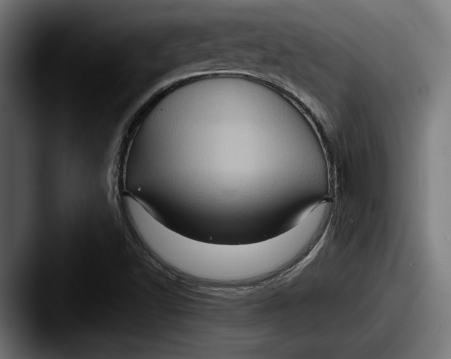 X0000087521502200705181003