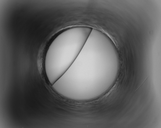 X0000087521503200705181003