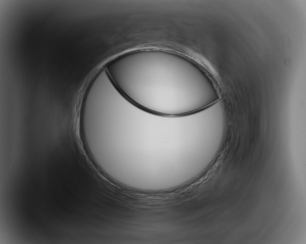 X0000087521504200705181003