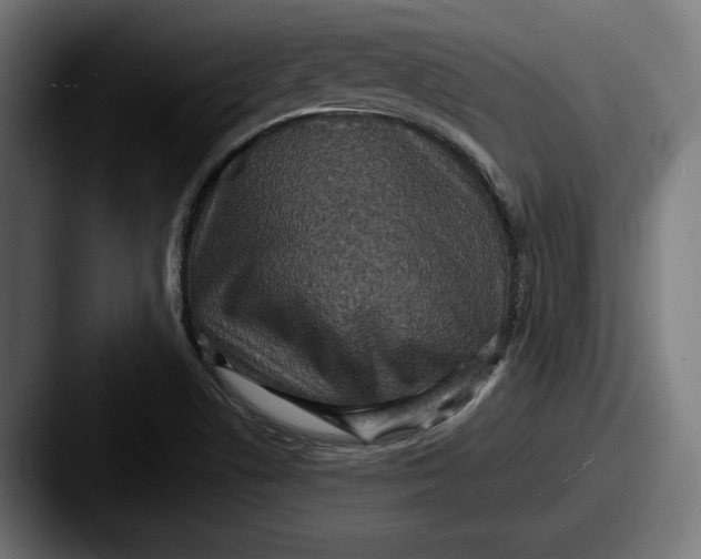 X0000087521506200705181003