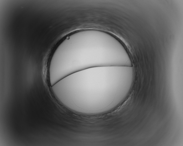 X0000087521507200705181003