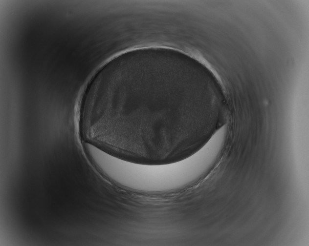 X0000087521508200705181003