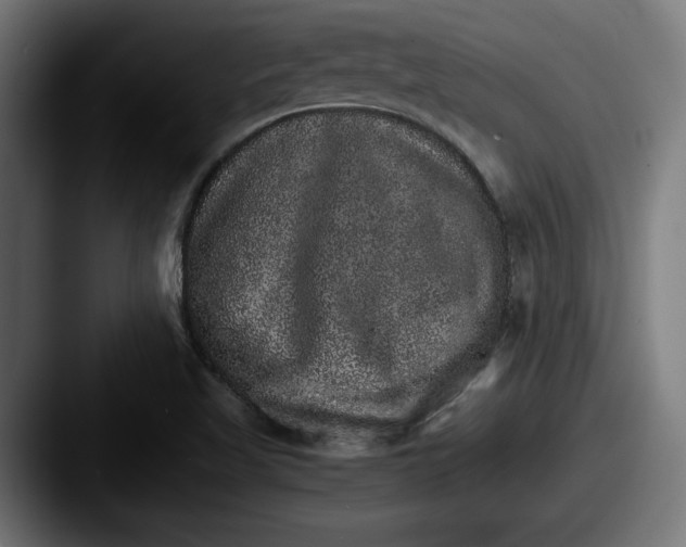 X0000087521509200705181003