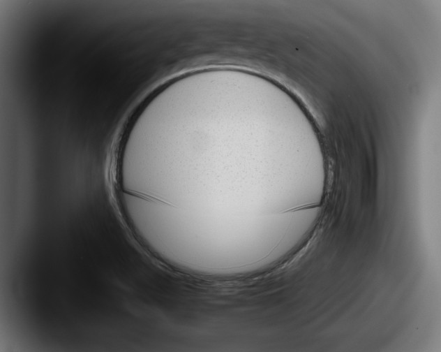 X0000087521511200705181003