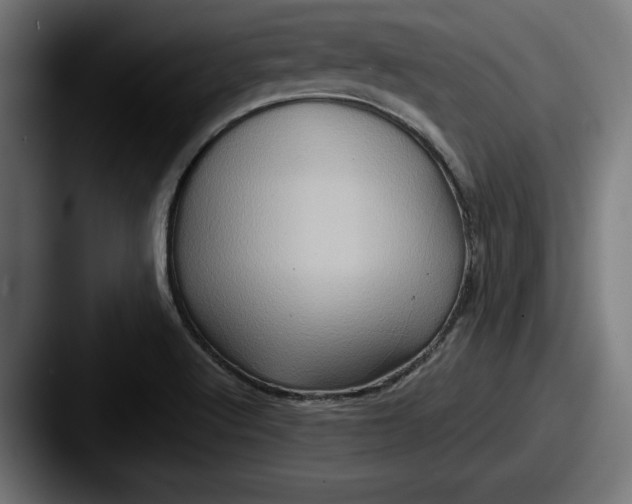 X0000087521512200705181003