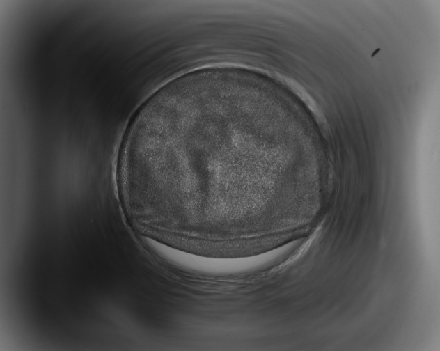 X0000087521513200705181003