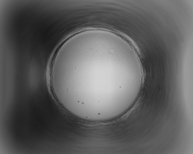 X0000087521514200705181003