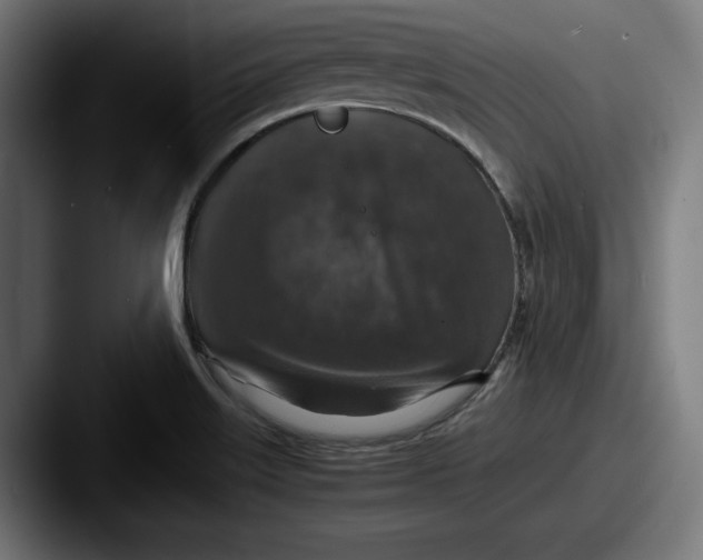 X0000087521515200705181003