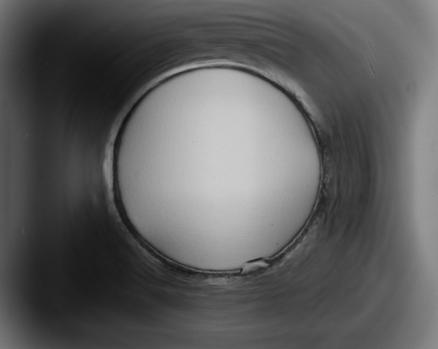 X0000087521516200705181003