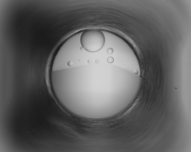 X0000087521517200705181003