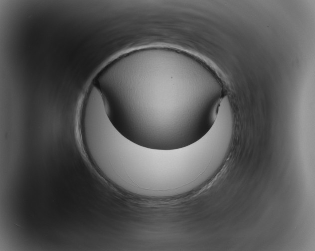 X0000087521518200705181003