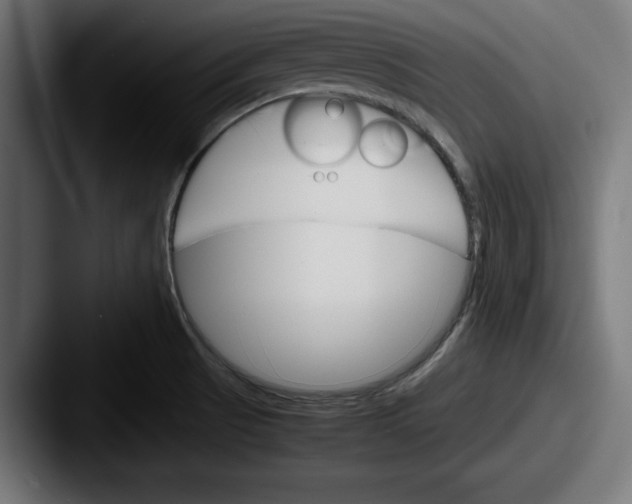 X0000087521521200705181003