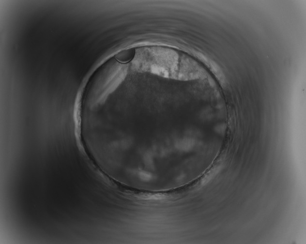 X0000087521522200705181003