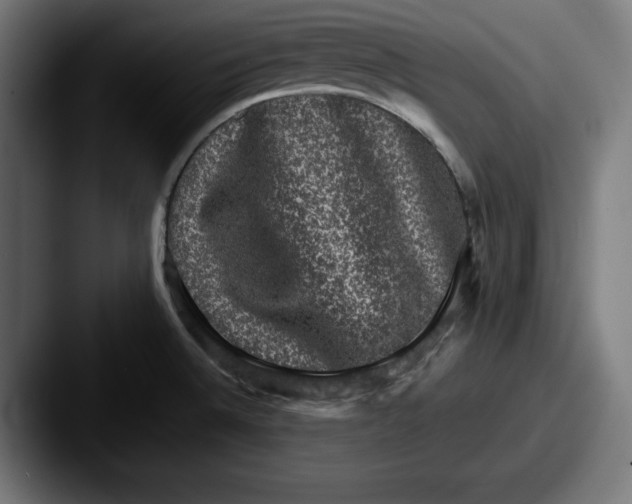 X0000087521524200705181003