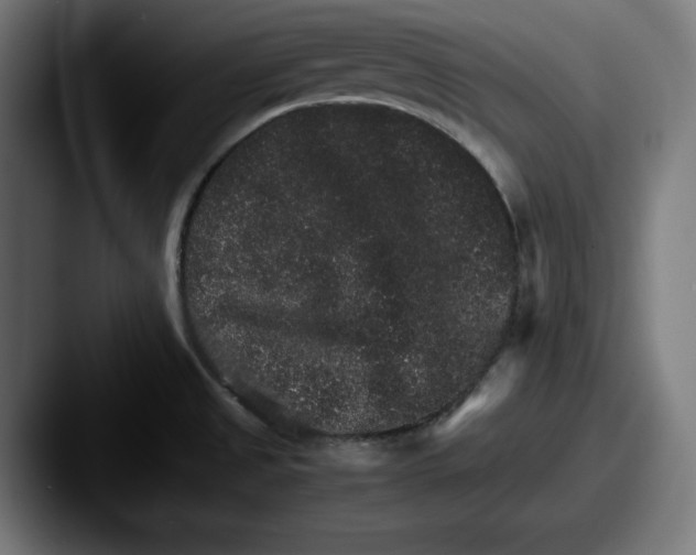 X0000087521525200705181003