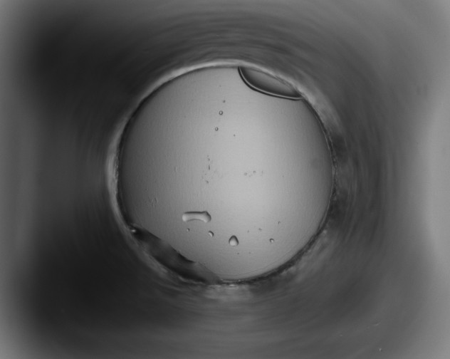 X0000087521526200705181003