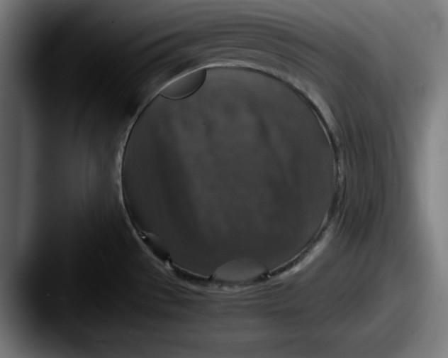 X0000087521529200705181003