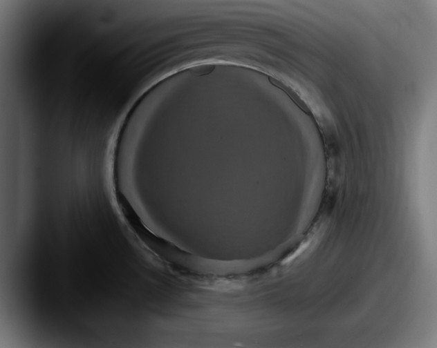 X0000087521530200705181003