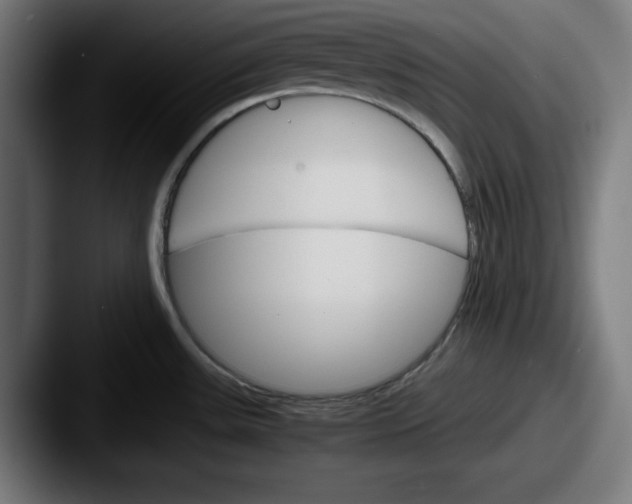 X0000087521531200705181003