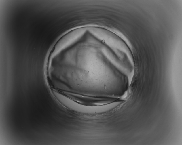 X0000087521532200705181003