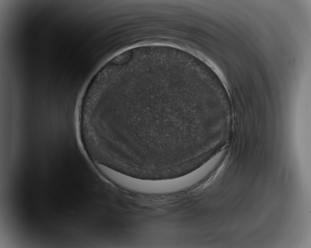 X0000087521533200705181003