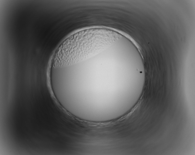 X0000087521534200705181003