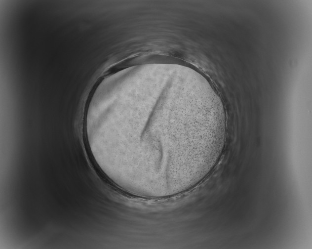 X0000087520003200705251648