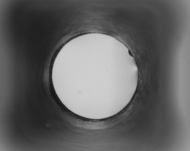 X0000087520008200705251648