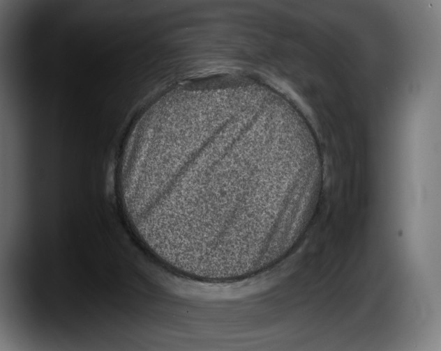 X0000087520010200705251648