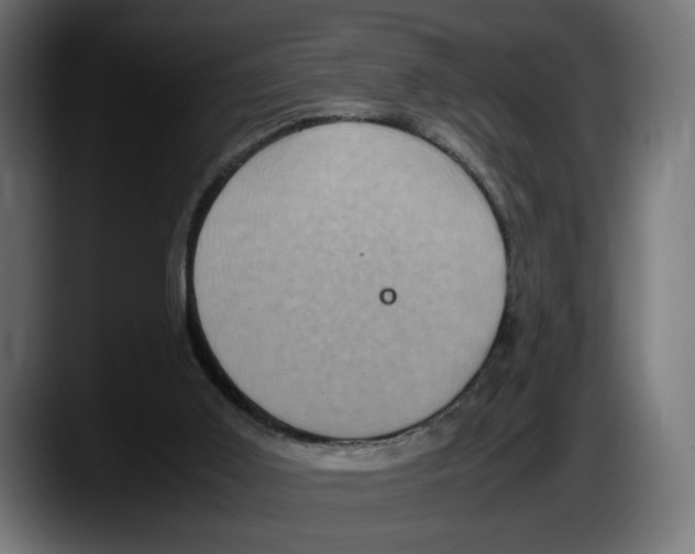 X0000087520011200705251648