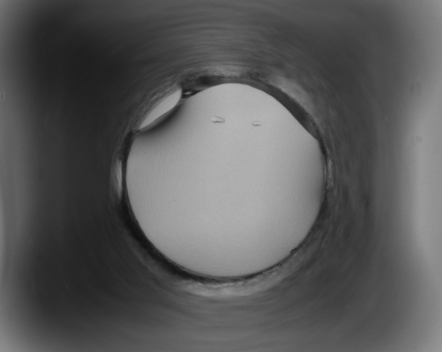 X0000087520013200705251648