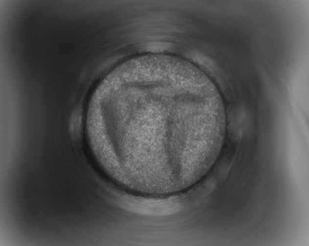 X0000087520016200705251648