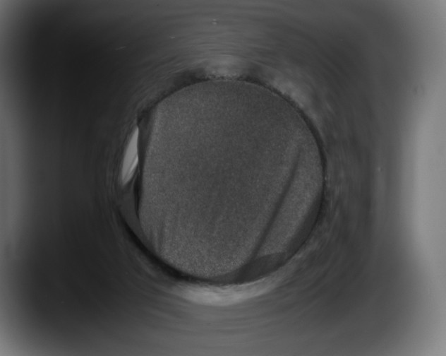 X0000087520017200705251648