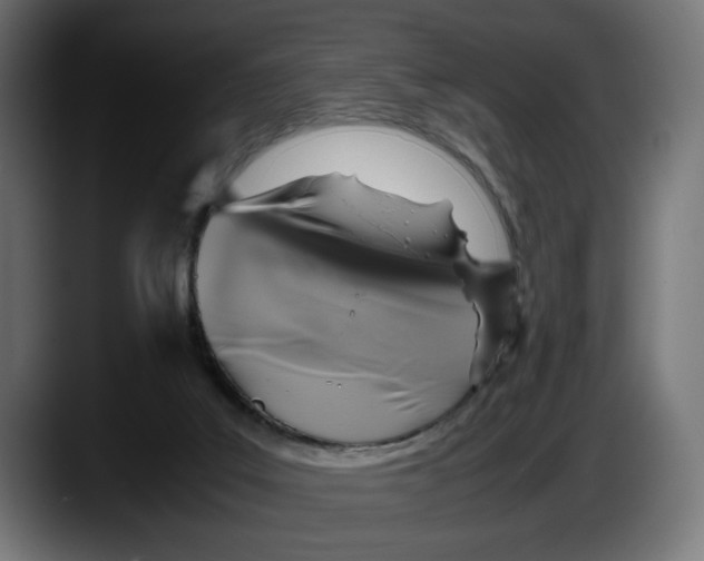 X0000087520019200705251648