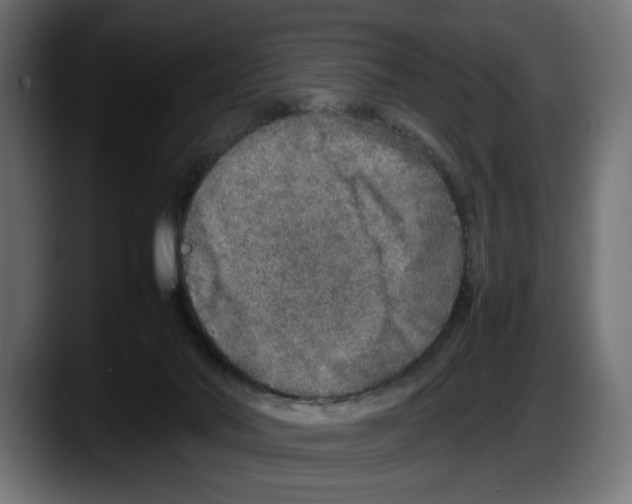 X0000087520022200705251648